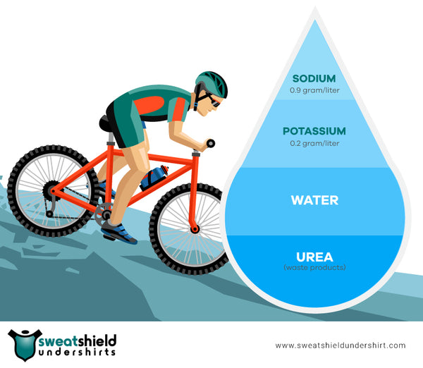 Sweat composition diagram